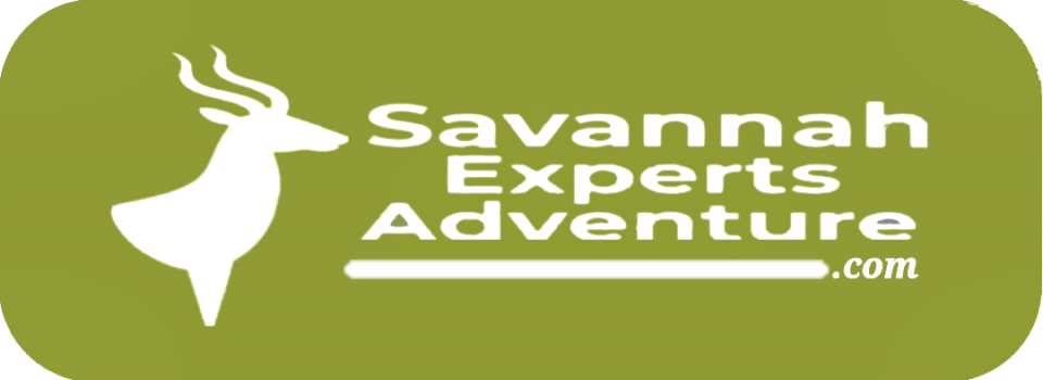 Book With Us