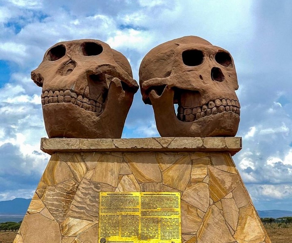 Cradle Of Mankind